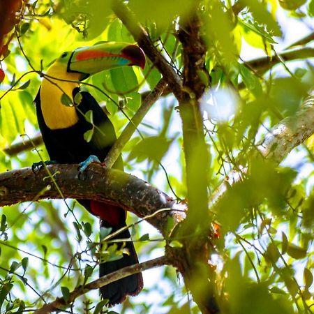Ecolodge El Sombrero Laguna Yaxha Dış mekan fotoğraf